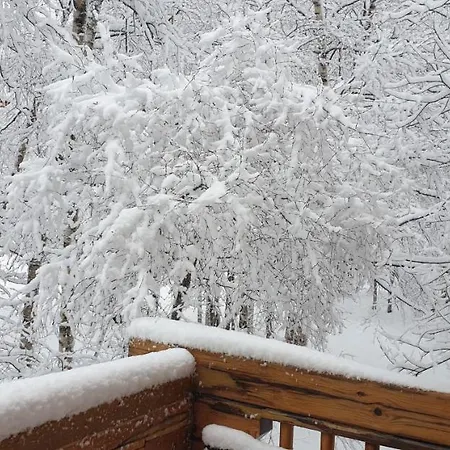 Bois Au Milieu Des Pyrénées Chalet *