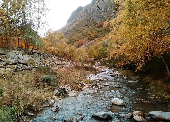 Bois Au Milieu Des Pyrénées Chalet
