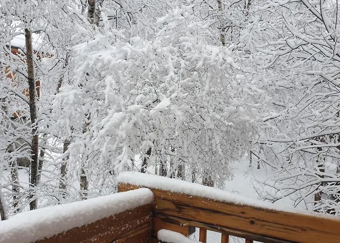Bois Au Milieu Des Pyrénées Chalet *