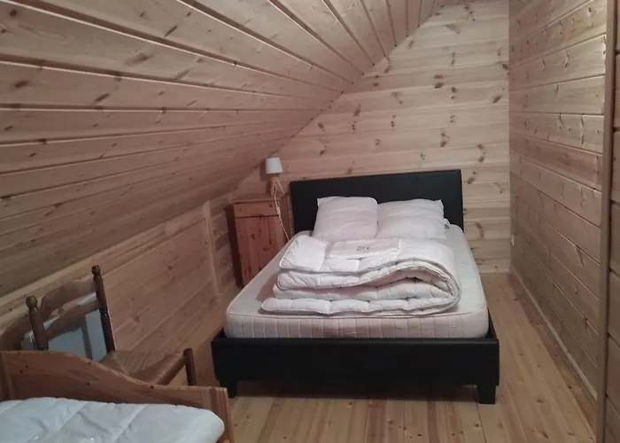 Bois Au Milieu Des Pyrénées * LʼHospitalet-près-lʼAndorre