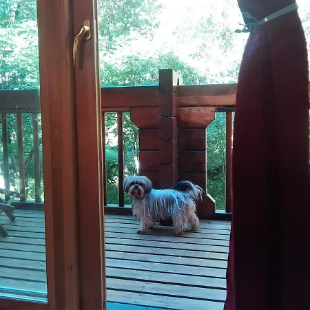 Chalet Bois Au Milieu Des Pyrénées