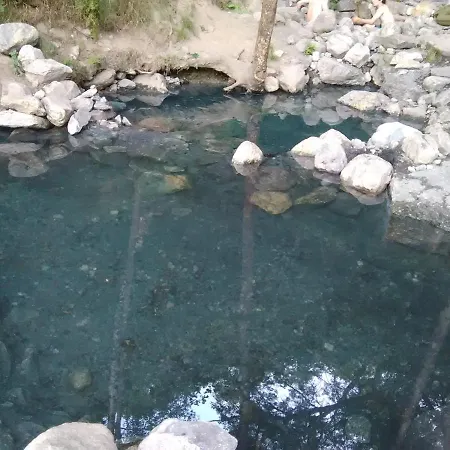 Bois Au Milieu Des Pyrenees 샬레