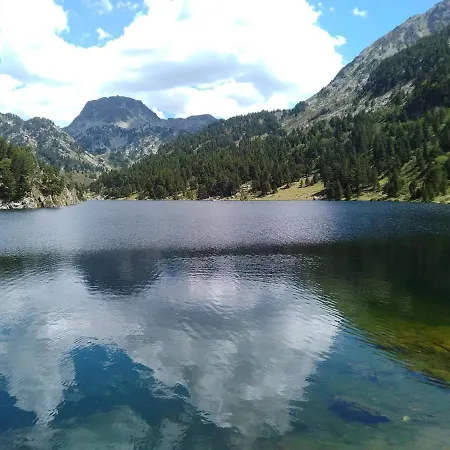 Bois Au Milieu Des Pyrénées LʼHospitalet-près-lʼAndorre